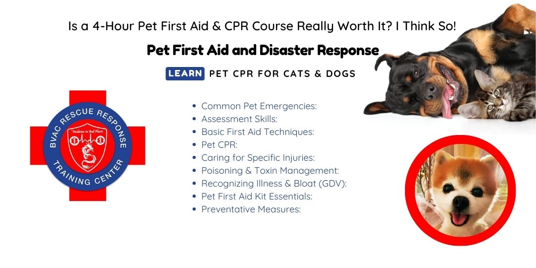 Is a 4-Hour Pet First Aid &amp; CPR Course Really Worth It? I Think So!